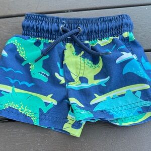 Navy Dinosaur Print Kids Shorts